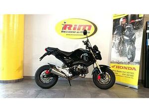 VENDO HONDA MSX 125 (2016 - 17) USATA A RICCIONE (CODICE 9913288) - MOTO.IT