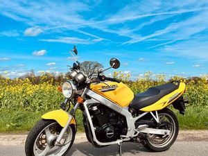 SUZUKI GS500