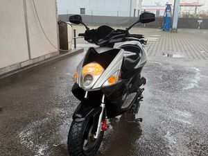 PEGASUS R 50 X ROLLER - FAHRBEREIT, MIT PAPIEREN