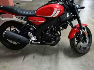 YAMAHA - YAMAHA XSR 125C