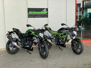 KAWASAKI Z 125 ABS GRAU ODER GRÜN INKL. STARTERBONUS