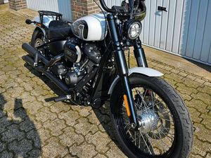 HARLEY-DAVIDSON STREET BOB M8 114