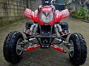 ARTIC CAT DVX 400 MATRICULADA AMARANTE (SÃO GONÇALO), MADALENA, CEPELOS E GATÃO