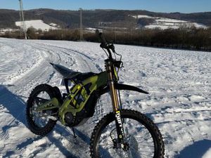 SUR-RON LIGHT BEE 2025