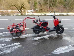 NPS 50 ZOOMER (45KM/H)