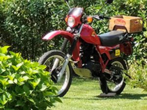 HONDA XL500R 82