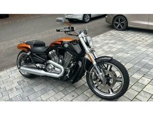 HARLEY-DAVIDSON V-ROD MUSCLE VRSCF