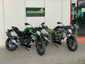 KAWASAKI Z 125 ABS GRAU ODER GRÜN INKL. STARTERBONUS