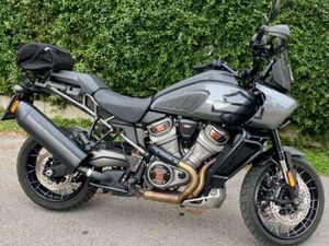 OCCASION HARLEY-DAVIDSON PAN AMERICA 1250 SPECIAL