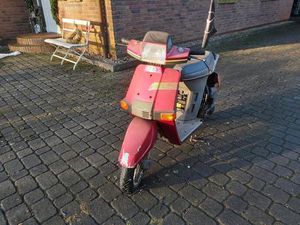 ROLLER PGO STAR 50 BASTLER