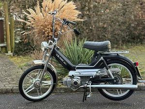PUCH MAXI S CANTON LUCERNE -