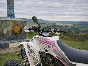 QUAD350RAPTORBIEN LIRE LA DESCRIPTION