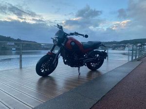 BENELLI LEONCINO GONDOMAR