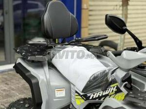 QUAD HAWK 250R