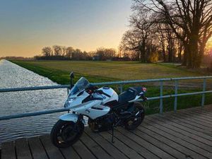 YAMAHA XJ6 DIVERSION S | LEO VINCE ESD | 48 PS / A2 KONFORM | ABS