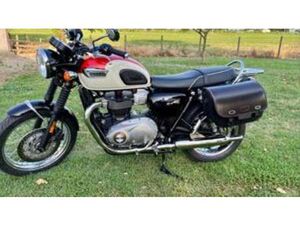 BONNEVILLE T100 (2017 - 20)