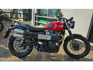 VENDO TRIUMPH STREET SCRAMBLER 900 (2019 - 20) USATA A PAVIA (CODICE 9914970) - MOTO.IT