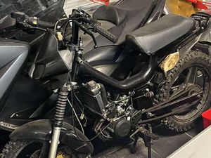 MALAGUTI FIFTY TOP 25