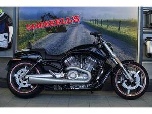 HARLEY DAVIDSON VROD MUSCLE VRSCF 1247 CC
