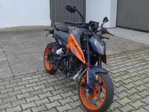KTM DUKE 125 BJ. 2024, 1100KM, FRISCHER SERVICE
