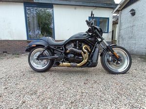 HARLEY-DAVIDSON - VRSCD - V-ROD - NIGHT ROD - 2006