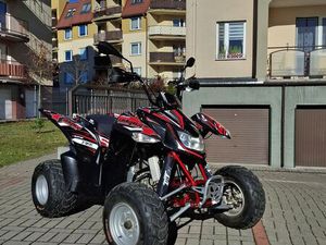 LUCKY STAR ACCESS 250/300 OKLEINA 2016 GRUDZIĄDZ