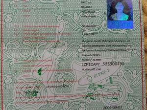 ROLLER BAOTIAN BT49QT-7