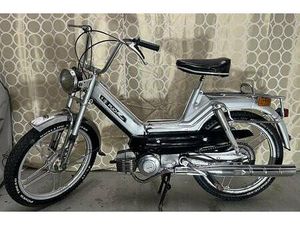PUCH MAXI CANTON ARGOVIE -