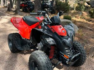 250 DS CAN AM