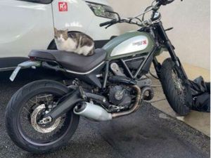 DUCATI SCRAMBLER URBAN ENDURO 800