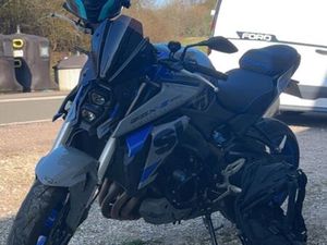 GSXS 950 SERIE LIMITÉE