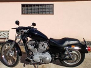 HARLEY DAVIDSON 883