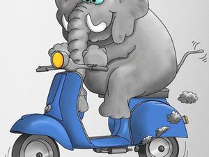 ROLLER MOTORROLLER KYMCO SPACER 50