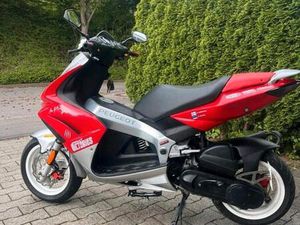 PEUGEOT JETFORCE 50 C-TECH IN SEHR GUTE ZUSTAND‼️‼️