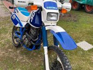 SUZUKI DR 600 DJEBEL