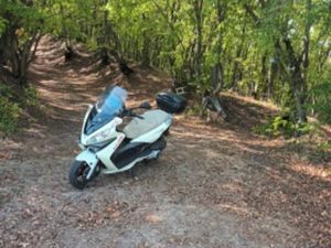 MALAGUTI MADISON 250IE RS