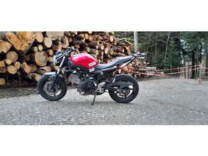 SUZUKI SV650U ABS - LETZTE MFK 15.05.2024