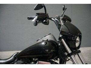 2016 HARLEY-DAVIDSON® FXDLS - LOW RIDER® S