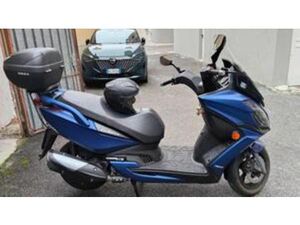 G-DINK 300I (2018 - 20)