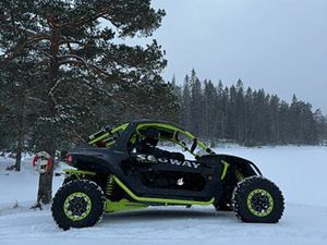 SEGWAY VILLAIN SX10X 1000 CC NY SERVICE