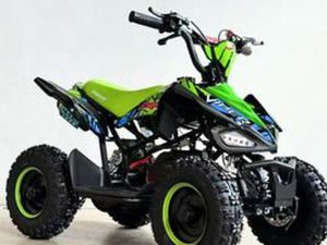 QUAD BAMBINO