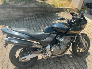 HONDA CB 600 HORNET S - GEPFLEGT, TÜV BIS 11/26