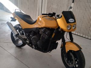 TRIUMPH DAYTONA 1200