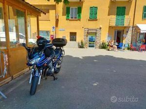 SUZUKI GSF 600 BANDIT - 2000