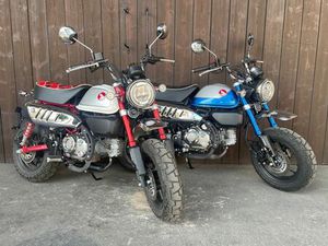 HONDA MONKEY 125 IN BLAU ODER ROT?!