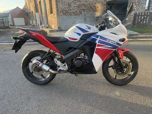 POTS D ÉCHAPPEMENT DOMINATOR. /