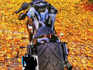 HARLEY DAVIDSON VROD MUSCLE 5HD