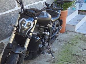 VENDO BENELLI 502C COSTA