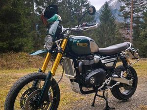 TRIUMPH SCRAMBLER STEVE MC QUEEN SONDEREDITION