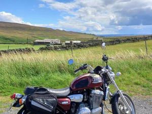 TRIUMPH, THUNDERBIRD, 1995, 885 (CC)